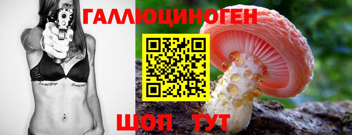 Псилоцибиновые грибы Psilocybine cubensis Москва