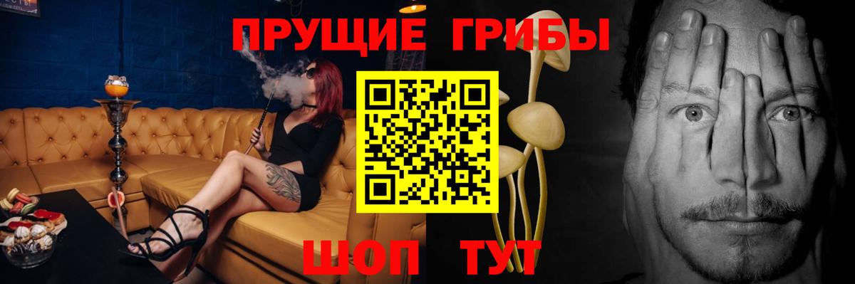 Галлюциногенные грибы Cubensis  Псилоцибиновые грибы прущие грибы  Москва  Вход с VPN 