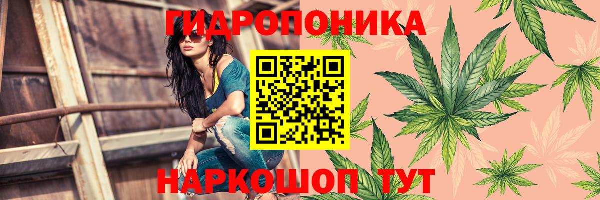 Бошки марихуана SATIVA & INDICA  Вход с VPN  Москва  Бошки марихуана VHQ  Шишки марихуана Amnesia 